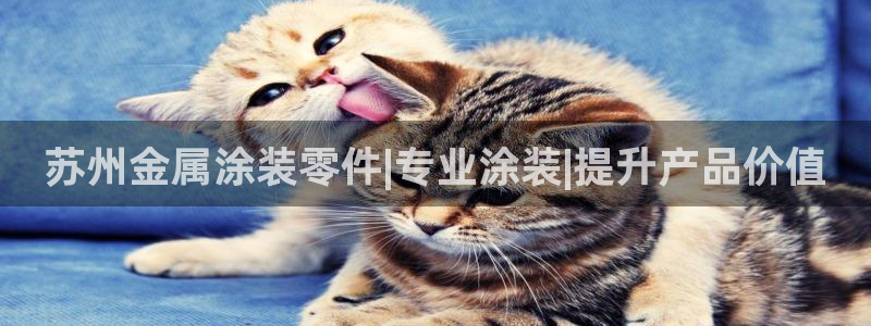 美狮美高梅酒店购物