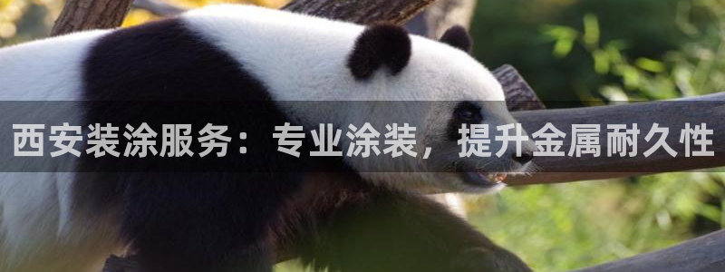 美高梅网络科技有限公司