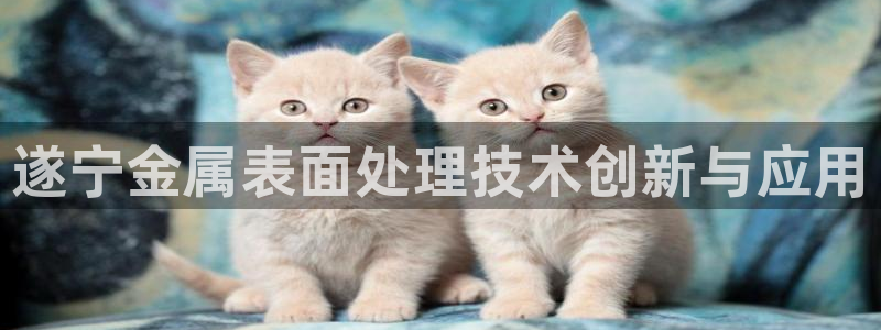 美狮美高梅酒店麦当劳有没有奶茶
