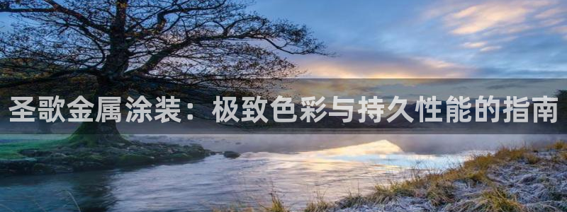 美高梅公司的业务范围