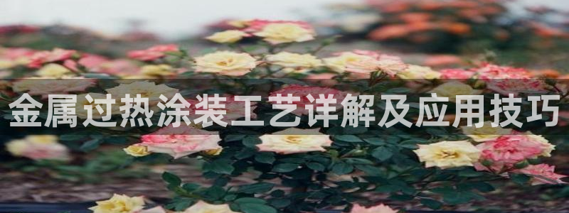 香港美高梅是做什么的