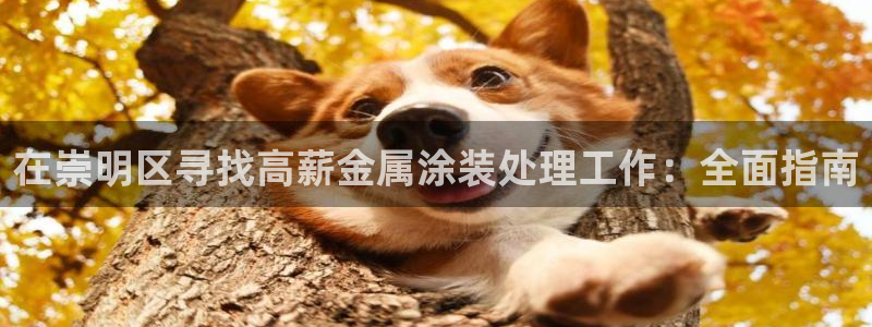美高梅大酒店澳门