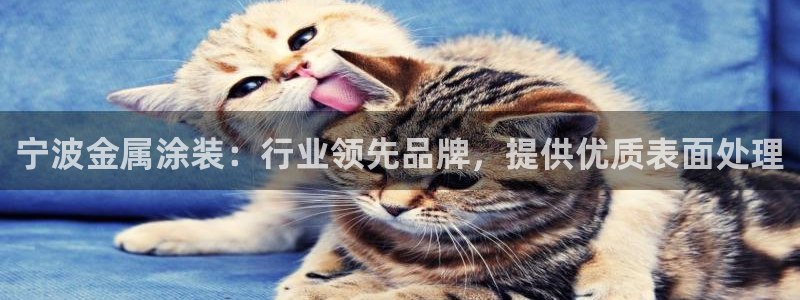 美高梅会员卡积分是怎么算的