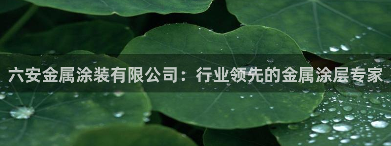 美高梅酒店品牌介绍