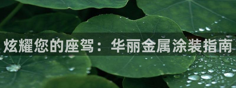 美高梅公司何超琼