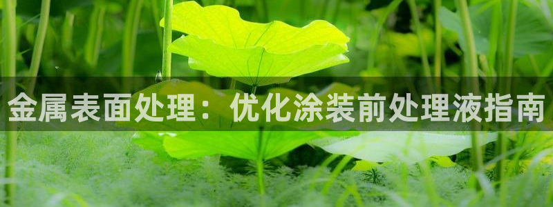 美狮美高梅酒店离哪个口岸近