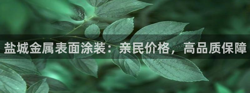 美狮美高梅酒店黑卡400餐卷
