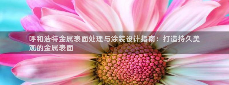 美高梅酒店房价