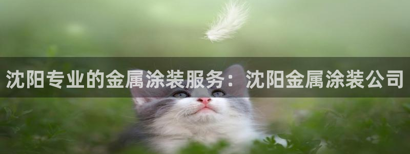 美狮美高梅dfs怎么预约
