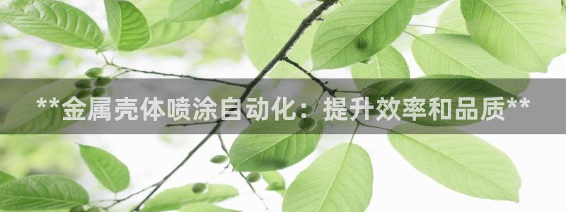 美高梅酒店特点