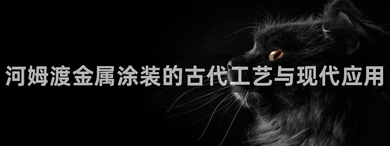 美狮美高梅酒店是几星