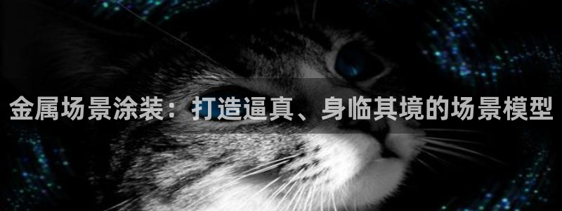 美高梅中国是什么公司