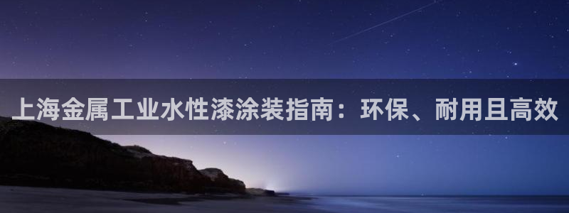 美高梅公司