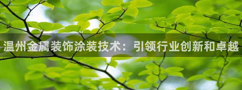 美高梅现在改名叫什么了