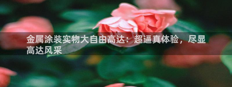 美高梅属于什么集团