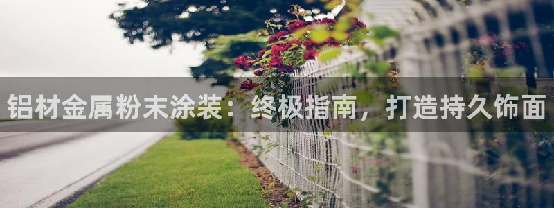 美高梅股票今天怎么了