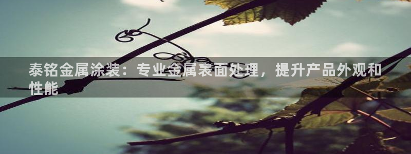 美高梅和米高梅是什么关系啊
