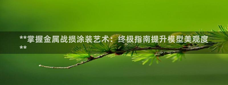 美高梅空中海洋秀时间