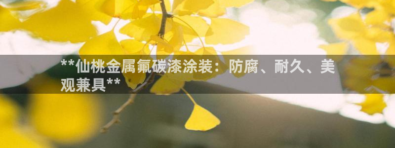 美高梅大酒店几星级