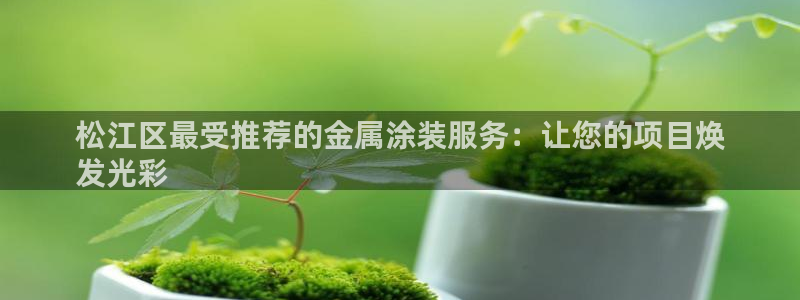 美高梅空中海洋秀