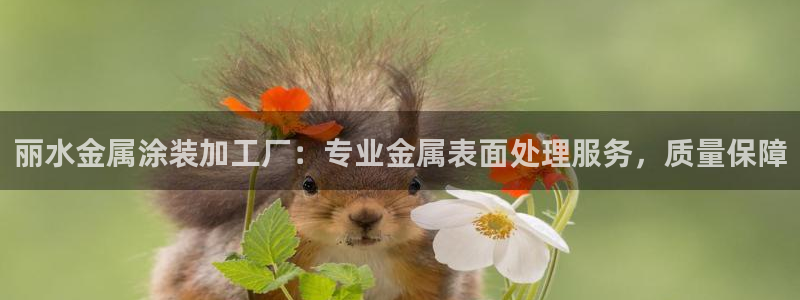 美狮美高梅酒店高度