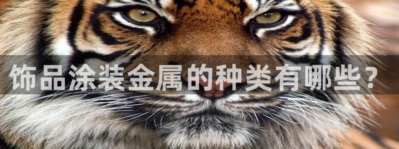 美高梅金卡怎么获得