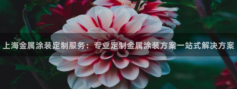 美高梅酒店可以赶海吗