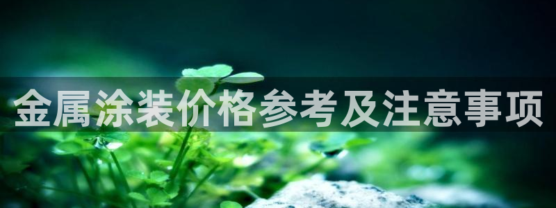 美高梅一积分多少钱