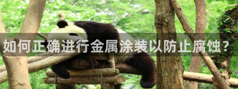 美高梅北京美高美