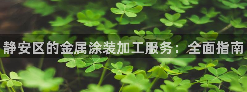 美高梅酒店分布