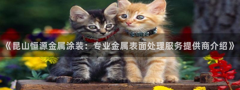 美高梅便携旅行装佛手柑护发素