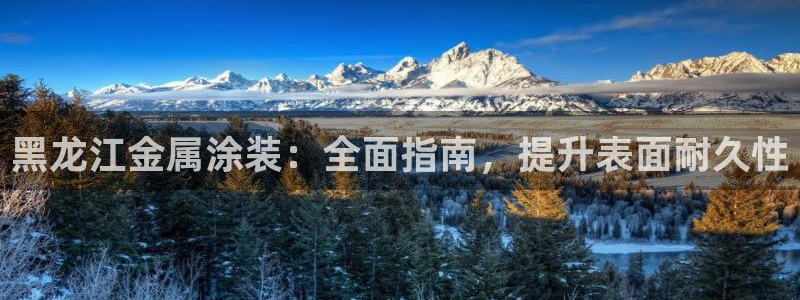 美高梅酒店会员卡