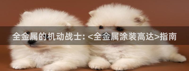 美狮美高梅酒店造价多少