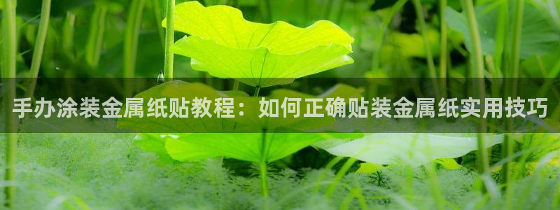 美高梅筹码颜色对应面值