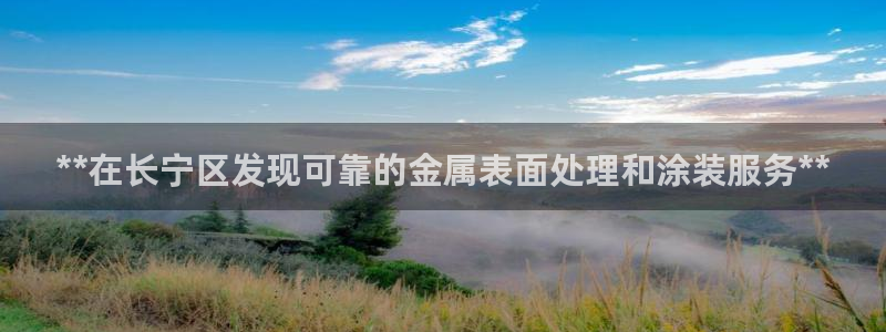 美狮美高梅酒店谁开的