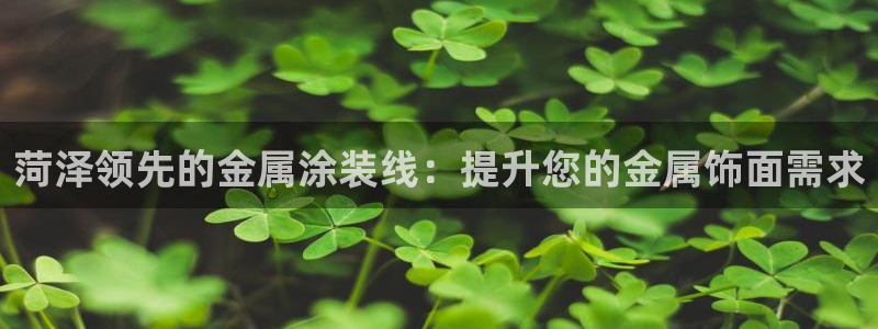 美狮美高梅酒店外观图片