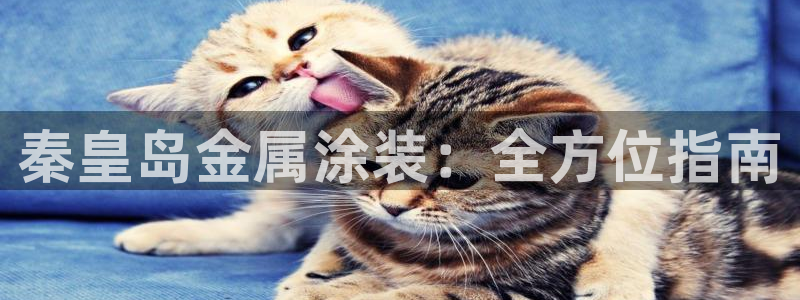 美高梅酒店可以带走的东西