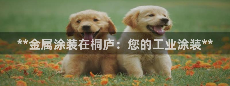 美高梅图片手机屏保