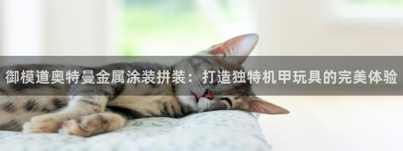 美高梅董事长
