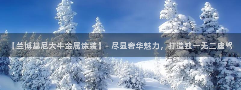 美高梅英文