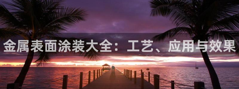 美高梅股票中国净资产多少