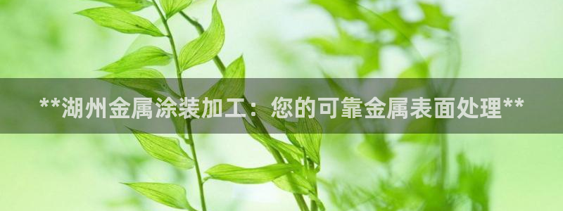 美高梅现场照片