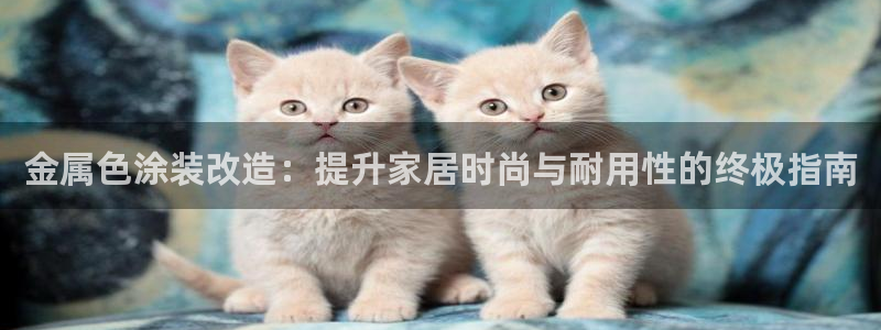 美高梅酒店多少层