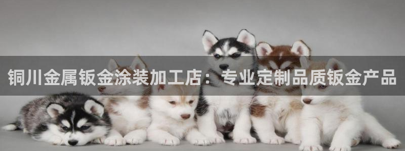 美狮美高梅酒店狮子