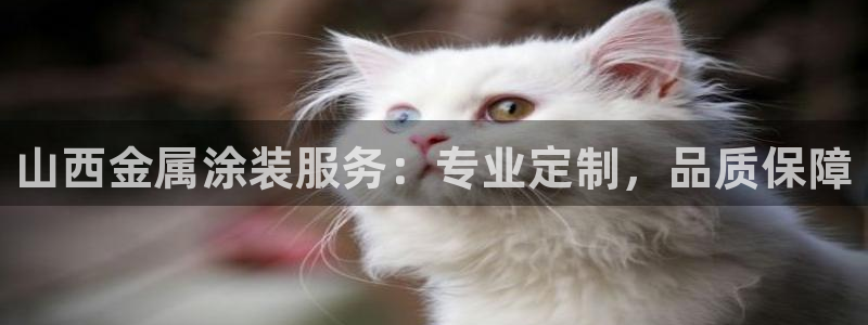 鲁能钓鱼台美高梅公馆户型图