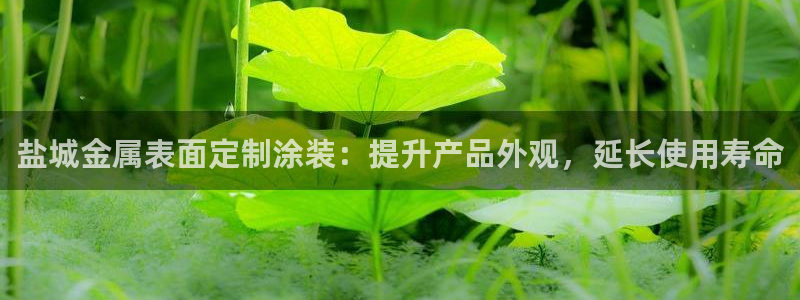 美高梅容纳多少人