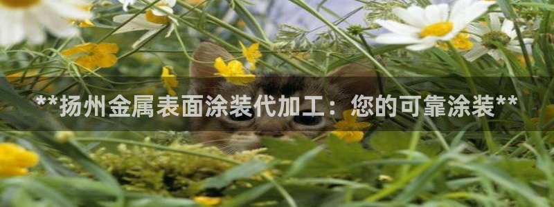 美高梅和米高梅是什么关系啊
