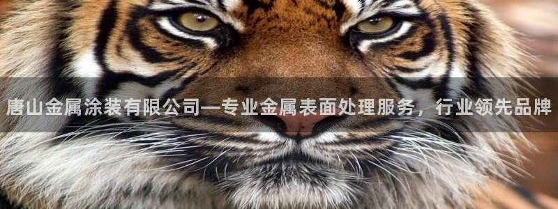 澳门的美高梅酒店外观视频