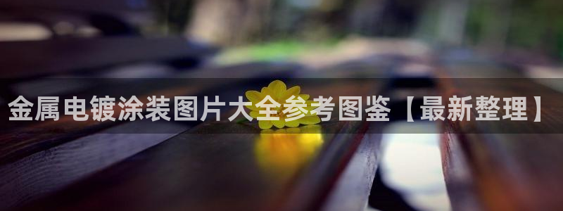 美高梅软件转钱准成吗