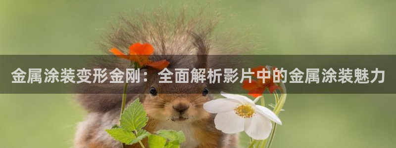 美高梅别墅在哪里：金属涂装变形金刚：全面